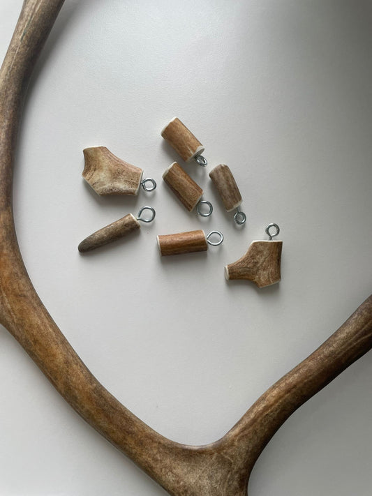 Poronsarviluu avaimenperä